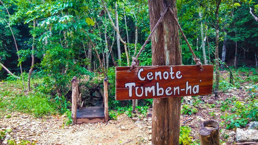 Akumal Natura Glamping Exterior foto