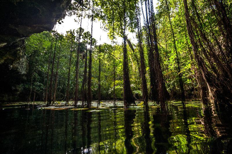 Akumal Natura Glamping Exterior foto